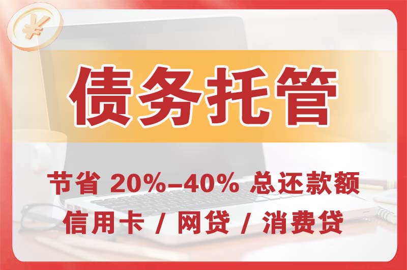 巢湖临湖债务托管
